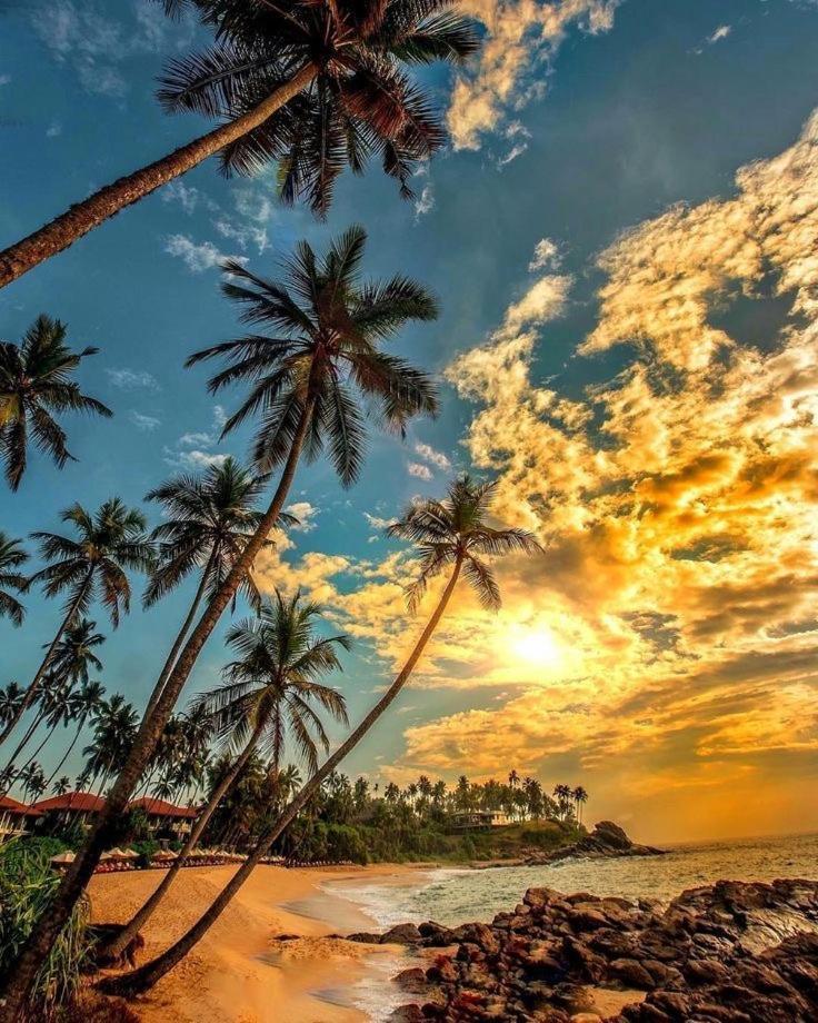 Samans Guesthouse Tangalle Kültér fotó